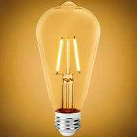 250 Lumens - 2.5 Watt - 2700 Kelvin - LED Edison Bulb - 5.5 in. x 2.5 in. - 25 Watt Equal - 120 Volt - PLT-12670