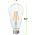 250 Lumens - 2.5 Watt - 2700 Kelvin - LED Edison Filament Bulb - 5.5 in. x 2.5 in. Thumbnail