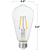 250 Lumens - 2.5 Watt - 2700 Kelvin - LED Edison Bulb - 5.5 in. x 2.5 in. Thumbnail