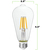 450 Lumens - 4.5 Watt - 2200 Kelvin - LED Edison Bulb - 5.5 in. x 2.5 in. Thumbnail