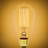 40 Watt - Edison Bulb - Incandescent Vintage Light Bulb - 160 Lumens - Medium Base - Clear - 120 Volt - Satco S2413