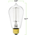 40 Watt - Edison Bulb - Incandescent Vintage Light Bulb - 160 Lumens - 5 in. x 2.5 in.  Thumbnail
