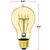 60 Watt - Victorian Bulb - 4.5 in. Length Thumbnail