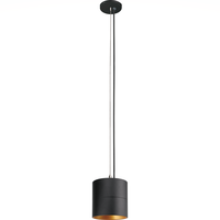 2412 Lumen Max - 25 Watt Max - 3500 Kelvin - 4 in. Wattage Selectable LED Pendant Fixture - Watts 12-18-25 - 36 Deg. Flood - Black Finish - Copper Baffle - 120-277 Volt - PLT PremiumSpec - PLT-90394