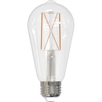 Natural Light - 850 Lumens - 8.5 Watt - 3000 Kelvin - LED Edison Bulb - 5.04 in. x 2.28 in. - 60 Watt Equal - 90 CRI - 120 Volt - Bulbrite 776769
