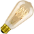 250 Lumens - 4.5 Watt - 2000 Kelvin - LED Edison Bulb - 5.38 in. x 2.5 in. Thumbnail
