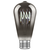 150 Lumens - 4.5 Watt - 4000 Kelvin - LED Edison Bulb - 5.38 in. x 2.5 in. Thumbnail