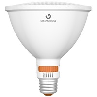 LED PAR38 E26 15W 25\40DEG
