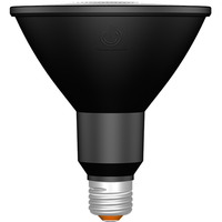 LED PAR38 E26 15.5W 3000K