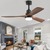 52 in. Ceiling Fan - Color Selectable LED Light Kit and Remote Included Thumbnail