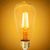 600 Lumens - 7 Watt - 2200 Kelvin - LED Edison Bulb - 5.51 in. x 2.52 in. Thumbnail