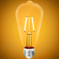 250 Lumens - 2.5 Watt - 2200 Kelvin - LED Edison Bulb - 5.5 in. x 2.5 in. - 25 Watt Equal - 120 Volt - PLT-12669
