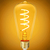 250 Lumens - 4 Watt - 2200 Kelvin - LED Edison Bulb - 5.5 in. x 2.52 in. Thumbnail