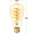 250 Lumens - 4 Watt - 2200 Kelvin - LED Edison Filament Bulb - 5.5 in. x 2.52 in. Thumbnail