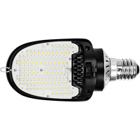 LED AREA LT SLCT RETRO 54W BLK