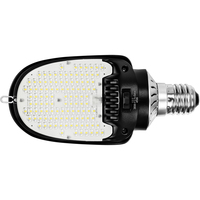 54 Watt Max - 6219 Lumen Max - 5000 Kelvin - Wattage Selectable LED Retrofit for Wall Packs/Area Light Fixtures - Watts 36-45-54 - Mogul Base - 120-277 Volt - PLT-12964