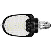 27 Watt Max - 2994 Lumen Max - 5000 Kelvin - Wattage Selectable LED Retrofit for Wall Packs/Area Light Fixtures - Watts 12-18-27 - Mogul Base - 120-277 Volt - PLT-12963