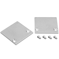 End Caps With Holes - Silver - See Description for Compatible SKUs - 2 Pack - PLT-12896