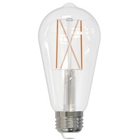 850 Lumens - 8.5 Watt - 2700 Kelvin - LED Edison Bulb - 5.0 in. x 2.3 in. - 60 Watt Equal - 90 CRI - 120 Volt - Bulbrite 776767