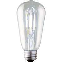 350 Lumens - 3.5 Watt - 2700 Kelvin - LED Edison Bulb - 5.0 in. x 2.5 in. - 60 Watt Equal - 92 CRI - 120 Volt - Archipelago Lighting LTST19C35027MB-90