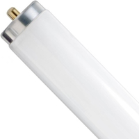 5FT FLUO T12 FA8