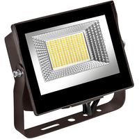 LED 35W FLD LT SLVR YOKE