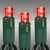 Rolled Mini Light Stringer - 17 ft. - (50) LEDs - Red - 4 in. Bulb Spacing - Green Wire Thumbnail