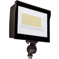 LED 60W FLD LT WHITE KNKL