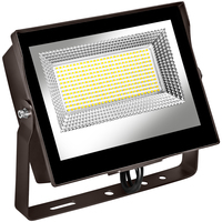 LED 60W FLD LT SLVR YOKE