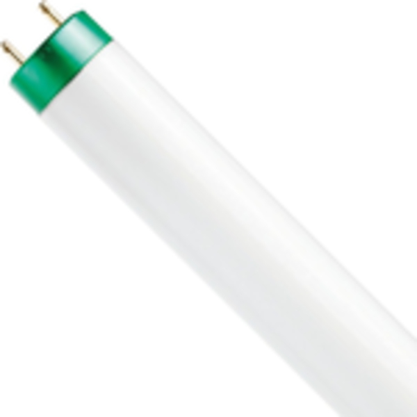 Philips 280966 - Linear Fluorescent Tube