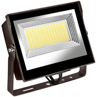 LED 80W FLD LT SLVR YOKE