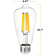 Natural Light - 1400 Lumens - 12 Watt - 2700 Kelvin - LED Edison Bulb - 5.12 in  x 2.28 in. Thumbnail