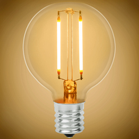 LED FILAMENT G16.5 2W 2700K