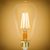 600 Lumens - 7 Watt - 2200 Kelvin - LED Edison Bulb - 5.52 in. x 2.52 in. Thumbnail