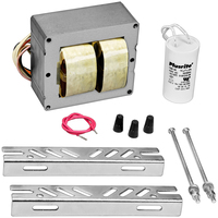 250W MH BALLAST