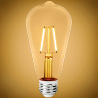 250 Lumens - 2.5 Watt - 2200 Kelvin - LED Edison Bulb - 5.5 in. x 2.5 in. - 25 Watt Equal - 120 Volt - PLT-12669