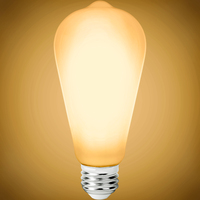 250 Lumens - 2.5 Watt - 2200 Kelvin - LED Edison Bulb - 5.5 in. x 2.5 in. - 25 Watt Equal - 120 Volt - PLT-12673