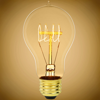 25 Watt - Victorian Bulb - 4.5 in. Length - Vintage Light Bulb - Amber Tinted - A19 - Bulbrite ALB25WQUADCL