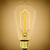 40 Watt - Edison Bulb - Incandescent Vintage Light Bulb - 183 Lumens - 5.43 in. x 2.3 in.  Thumbnail
