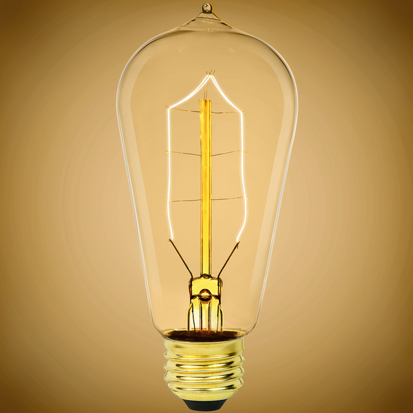 40 Watt - Edison Bulb - 5.4 in. Length - Vintage Light Bulb - Lit