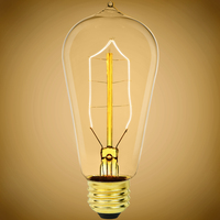 40 Watt - Edison Bulb - Incandescent Vintage Light Bulb - 183 Lumens - Medium Base - Amber Tint - 120 Volts - PLT-40006