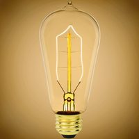 Antique 40W 120V ST58 E26