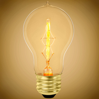 Antique 40W 120V A55 E26