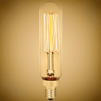 25 Watt - Vintage Antique Light Bulb - T6 Tubular Style - 3.5 in. Height - Candelabra Base - Squirrel Cage Filament - Tinted