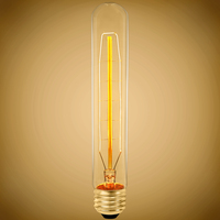 Antique 60W 120V T30 E26