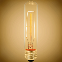 Antique 20W 120V T30 E26