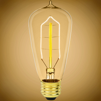 ANTIQUE 40W 120V ST54 E26