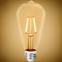 250 Lumens - 2.5 Watt - 2700 Kelvin - LED Edison Bulb - 5.5 in. x 2.5 in. - 25 Watt Equal - 120 Volt - PLT-12670