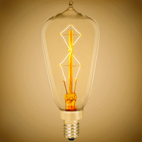 Antique 25W 120V ST38 E12