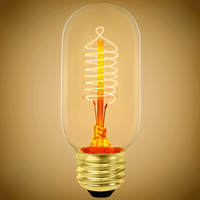 ANTIQUE 40W 120V T45 E26